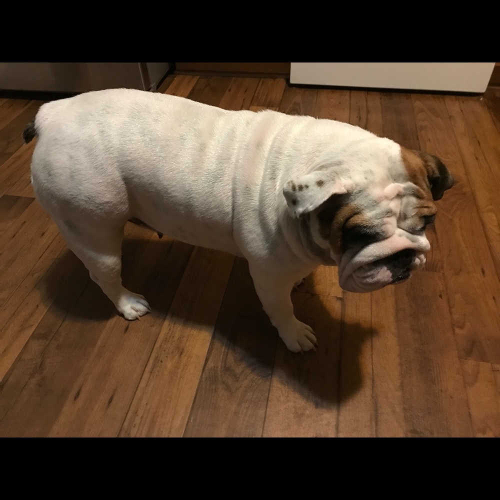 Meet your Posher, Mike